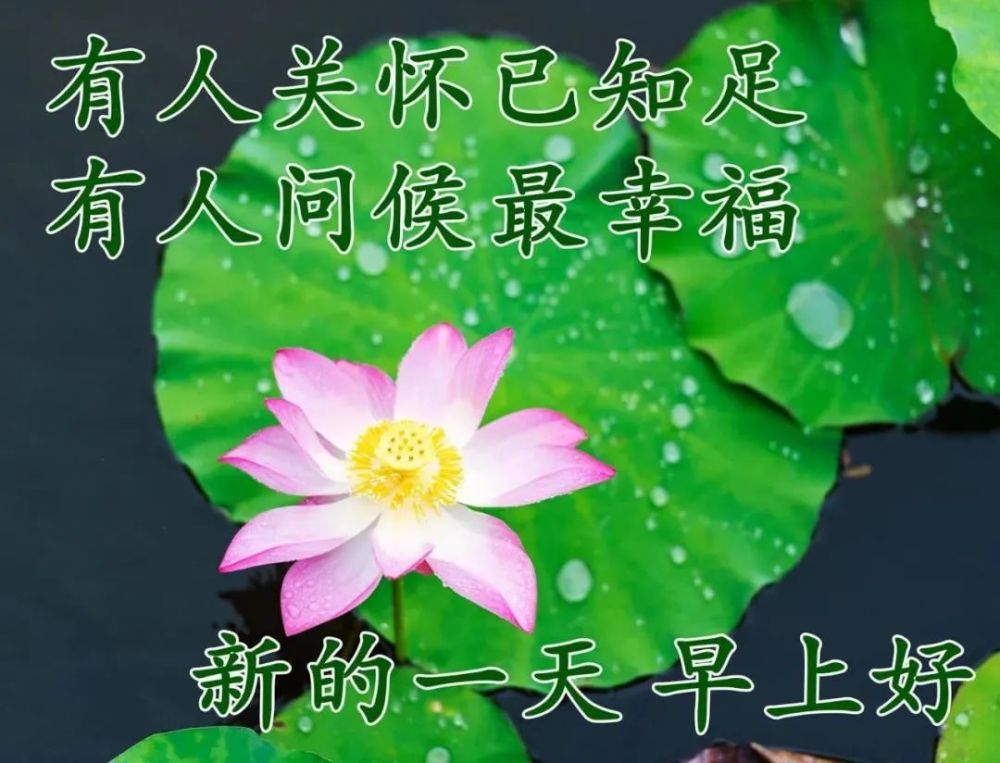 早上好朋友,最新早安祝福问候语大全,早上好问候祝福图片