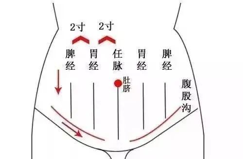 3 中里巴人推腹法 用手指,手掌,拳头皆可:由心窝向下推到小腹,由两边