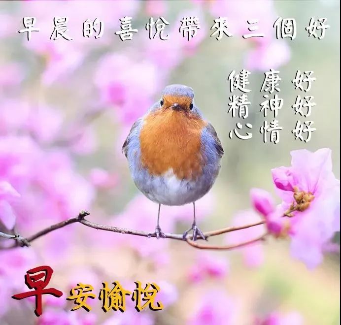 漂亮早安图片带祝福语2021不用打字聊天的秋天早上好问候祝福图片精选
