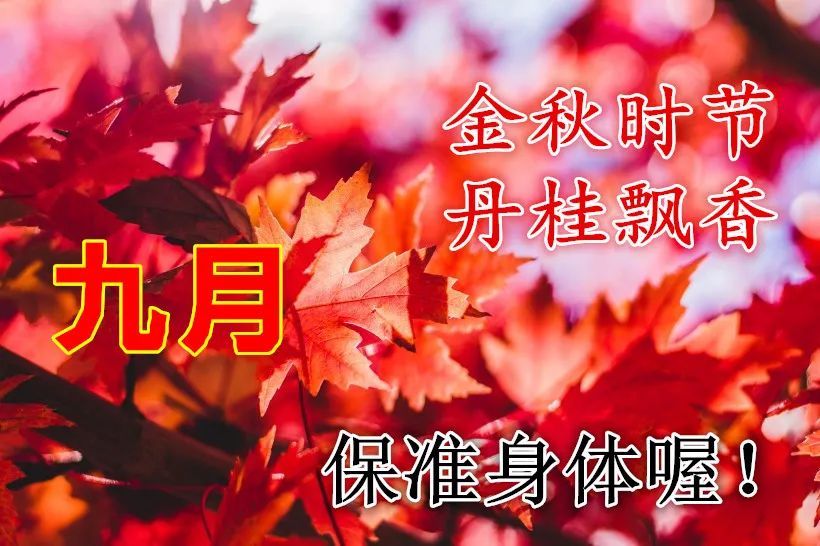 10月金秋漂亮的鲜花早上好图片表情大全早上好问候语温馨短句秋日早晨