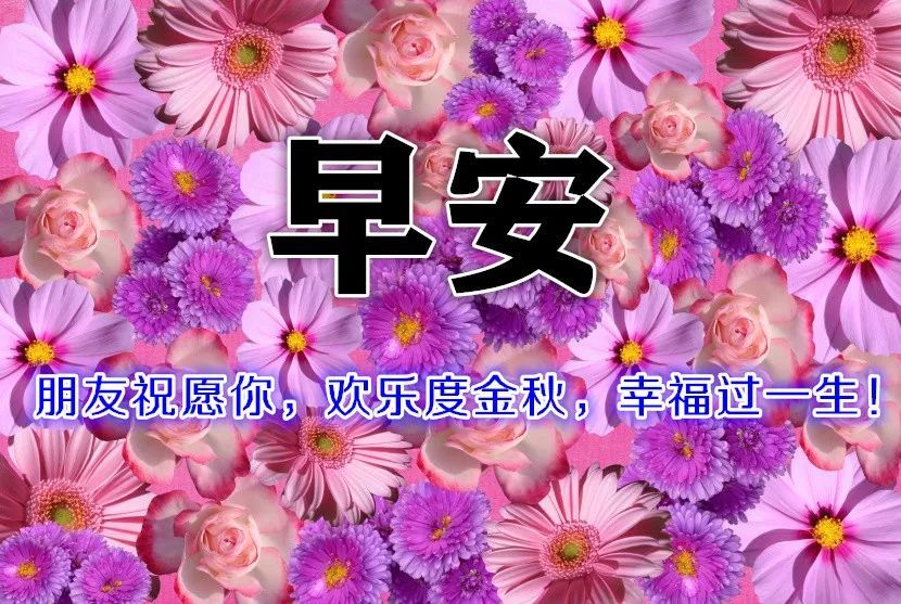 10月金秋漂亮的鲜花早上好图片表情大全早上好问候语温馨短句秋日早晨