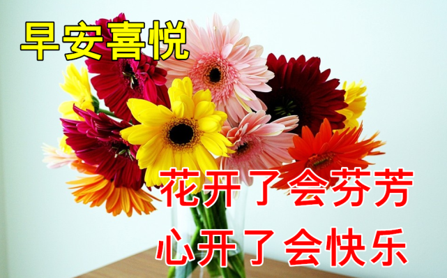 11月24日早上好动态表情图片大全,早晨好动图美图大全