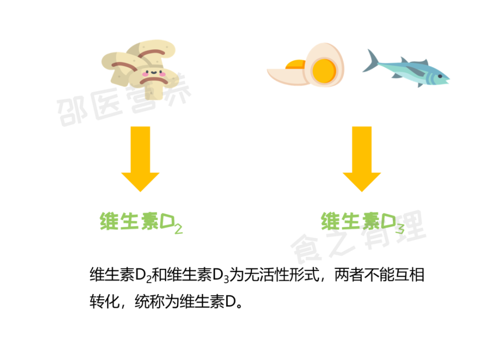 维生素d有什么作用 有哪些人需要注意补充维生素d 参考文献[1]中