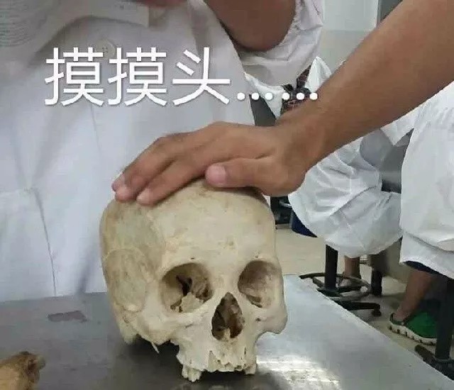 医学生系表情包分享特辑手动哈哈大笑