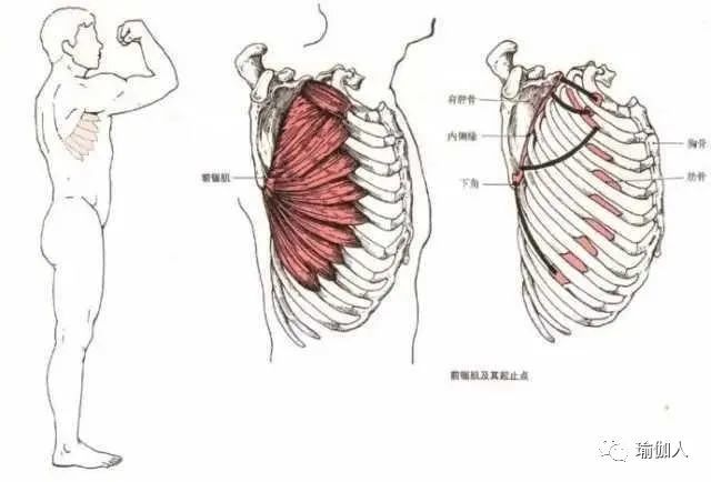 瑜伽怎么样,瑜伽老师收入怎么样