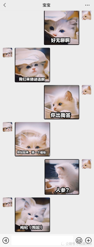 【表情包专栏】进来猜谜语了,这个我真猜不到啊