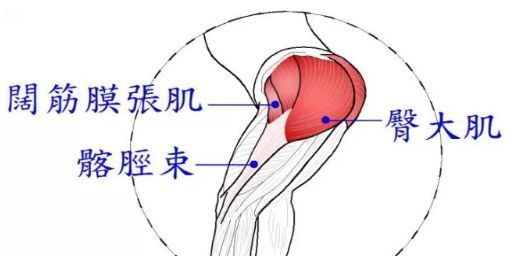 髋股膝外侧疼痛阔筋膜张肌髂胫束损伤