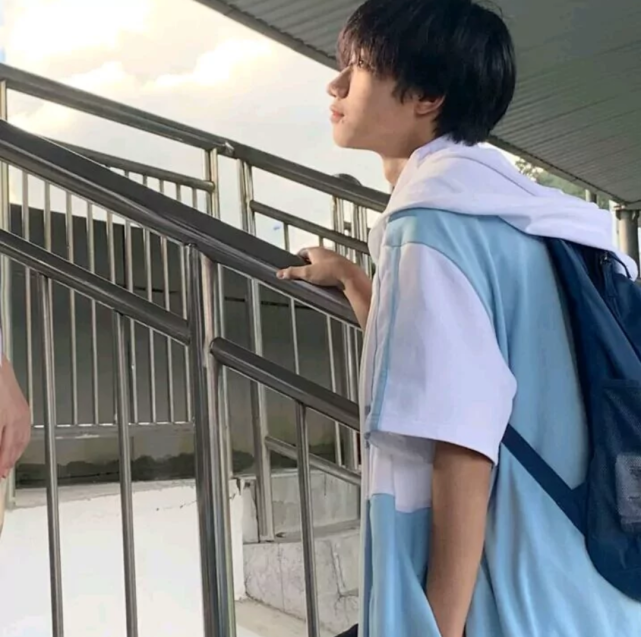ins小清新森系情头