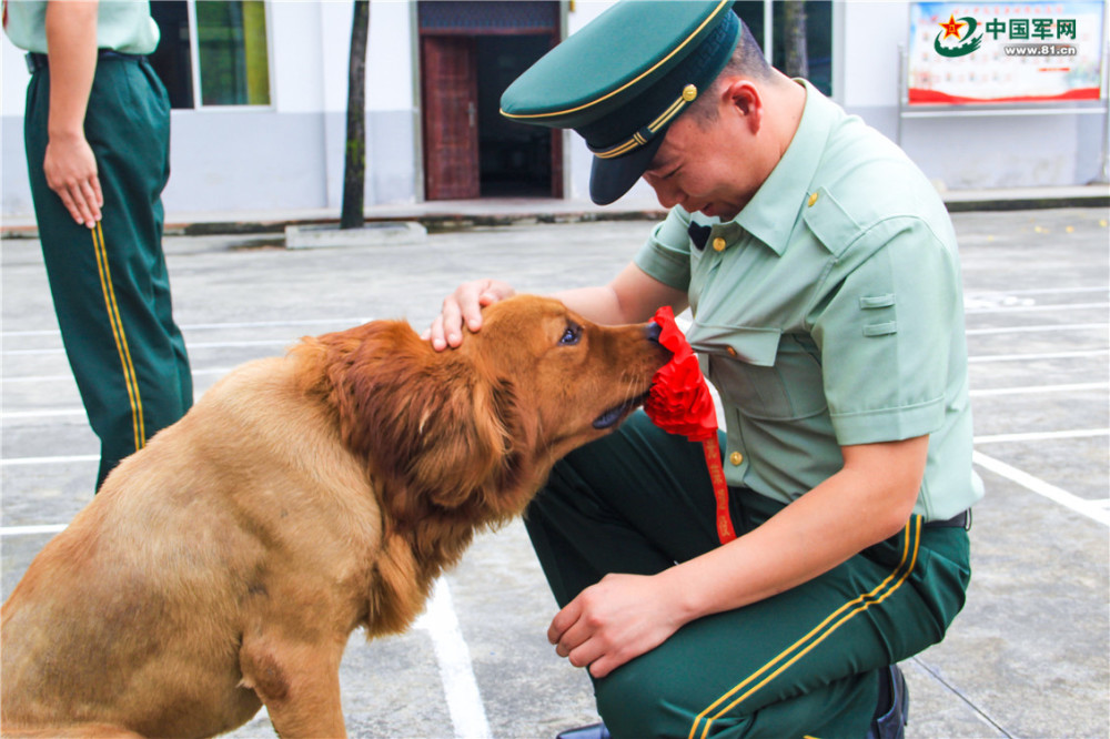 退伍季|武警退役老兵泪别军营光荣返乡