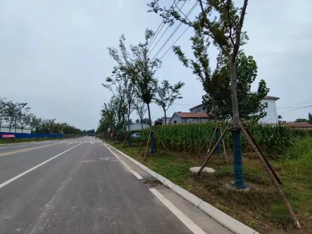 丰县欢口镇徐楼村:一个即将消失的村庄