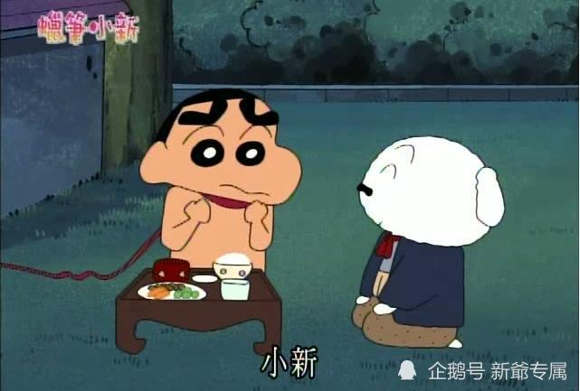 蜡笔小新:小新和小白的感情不只是主人和宠物,更是兄弟