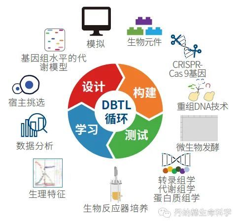 丹纳赫生命科学平台具有一系列的合成生物学方案,通过"设计—构建