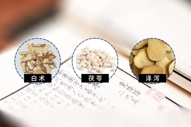 准备材料:茯苓,泽泻各15克,白术20克,面粉2匙,矿泉水各适量.