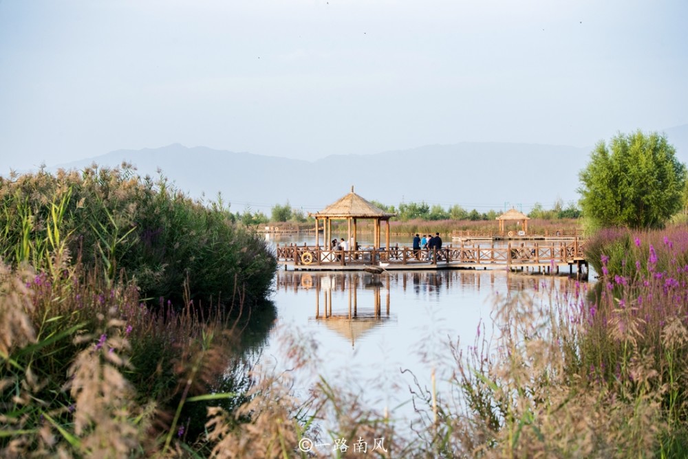 甘肃张掖有个唯美的湿地公园,免费开放,但外地游客特别少