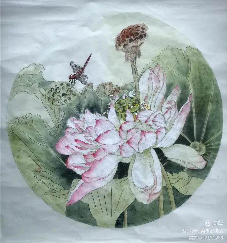 童涵《荷香》彩墨画