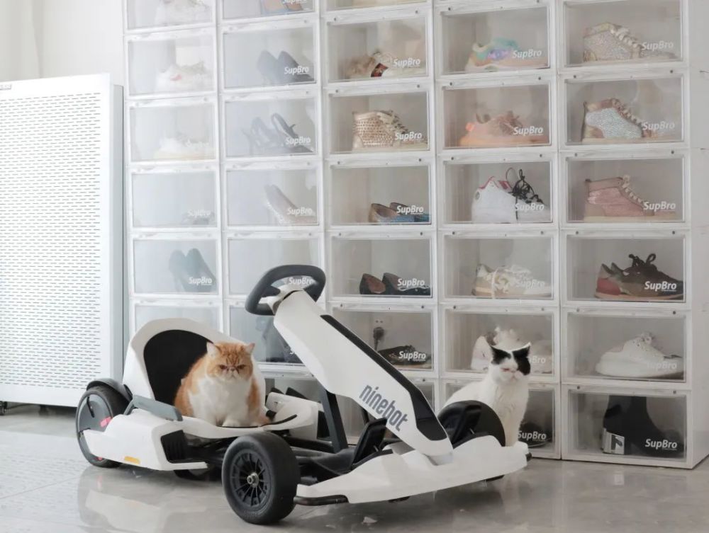 什么是安全感（什么是安全感 所谓的安全感）