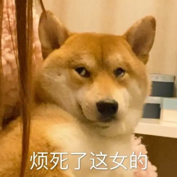 表情包:烦死了 这女的