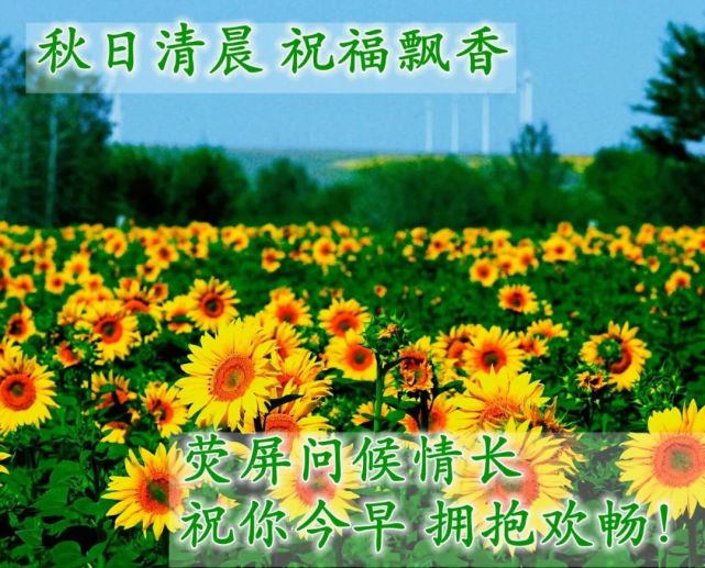 9月3日周五最新早上好特漂亮动态祝福图片带字,很暖心