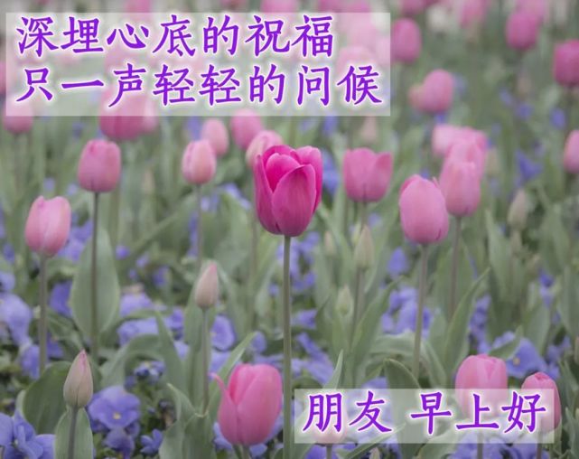9月3日周五最新早上好特漂亮动态祝福图片带字,很暖心