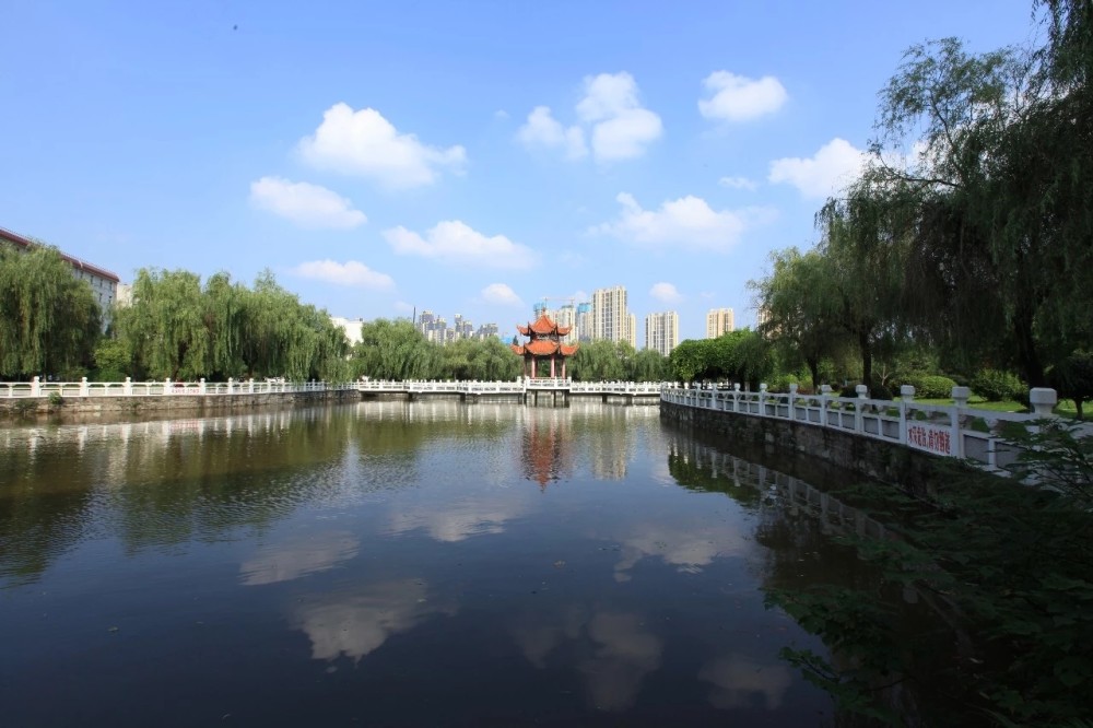 什么专业就业前景好（什么专业就业前景好女）