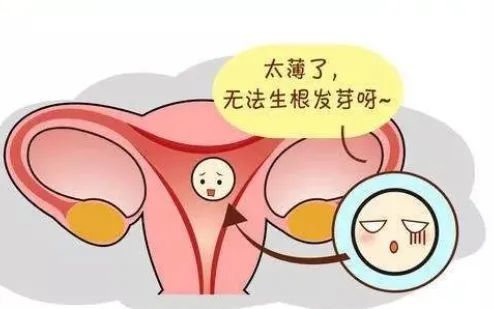 子宫内膜厚度多少才适合怀孕?