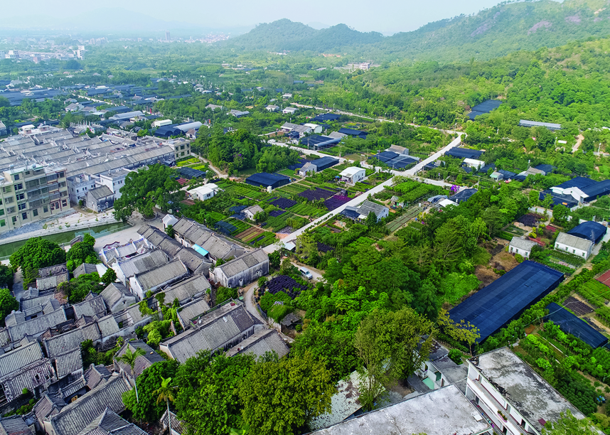 宝镜院村村貌(普宁市地方志办供图)