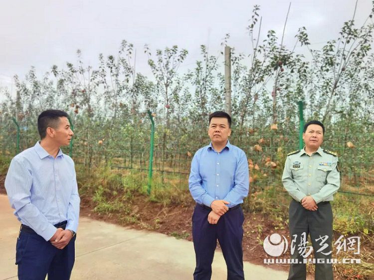 千阳县委书记刘方斌调研草碧镇崔家头镇经济社会发展情况