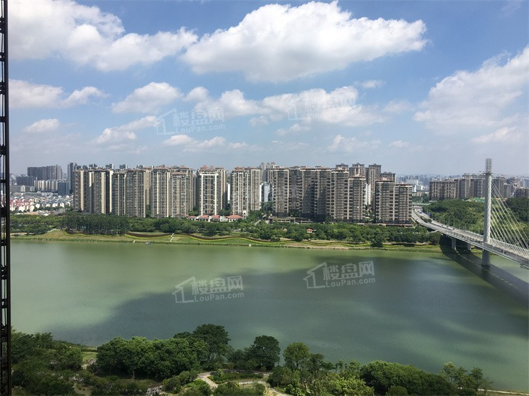 南宁这五大江景板块视野超好!如果是你,想住哪里?
