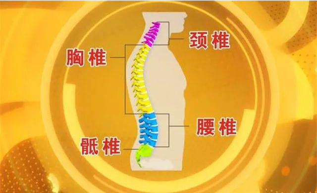 7,颈椎第一节错位会引起,头晕,头痛,高血压,视力低下,面瘫.