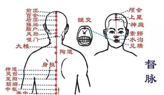 背部是人体经络最多的部位,也是最容易堵塞,不通的部位!