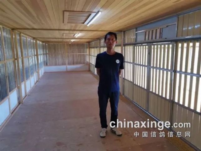 中国80后鸽友代表人物 北京壹号鸽舍张斌
