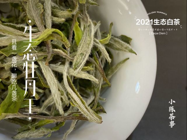 白牡丹,是以大白茶,水仙茶树品种的一芽一叶,二叶为原料,经过萎凋