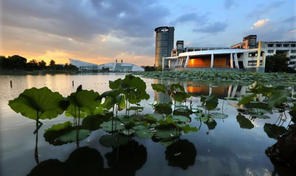 浙江大学位居第四,领先上海交大,跻身全球百强