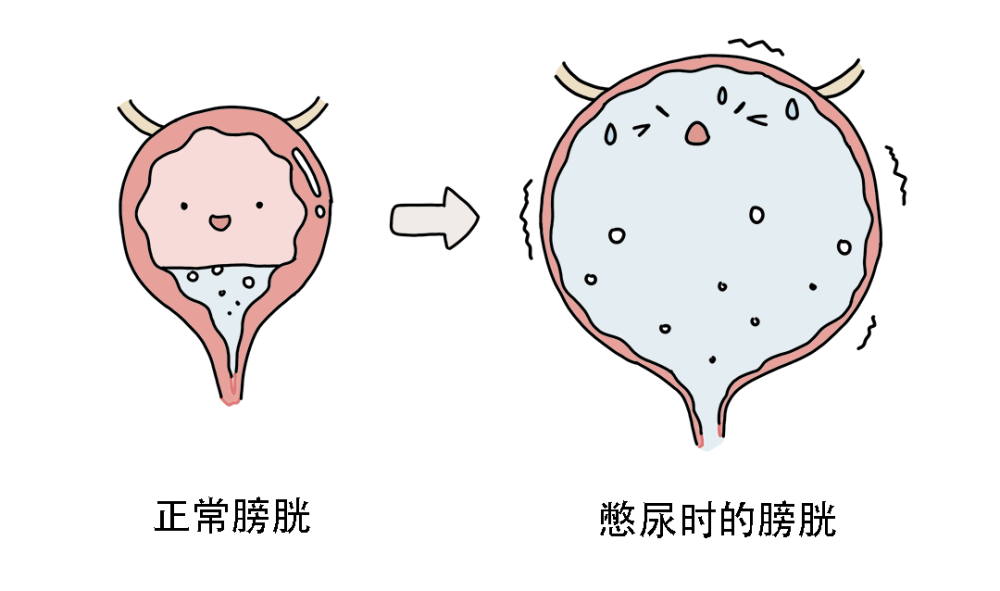 去哪里啊（买黄金去哪家买比较好）