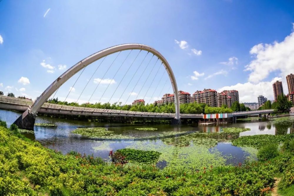 【美好李沧我发布】《李村河》,一首写给李沧人的情书!