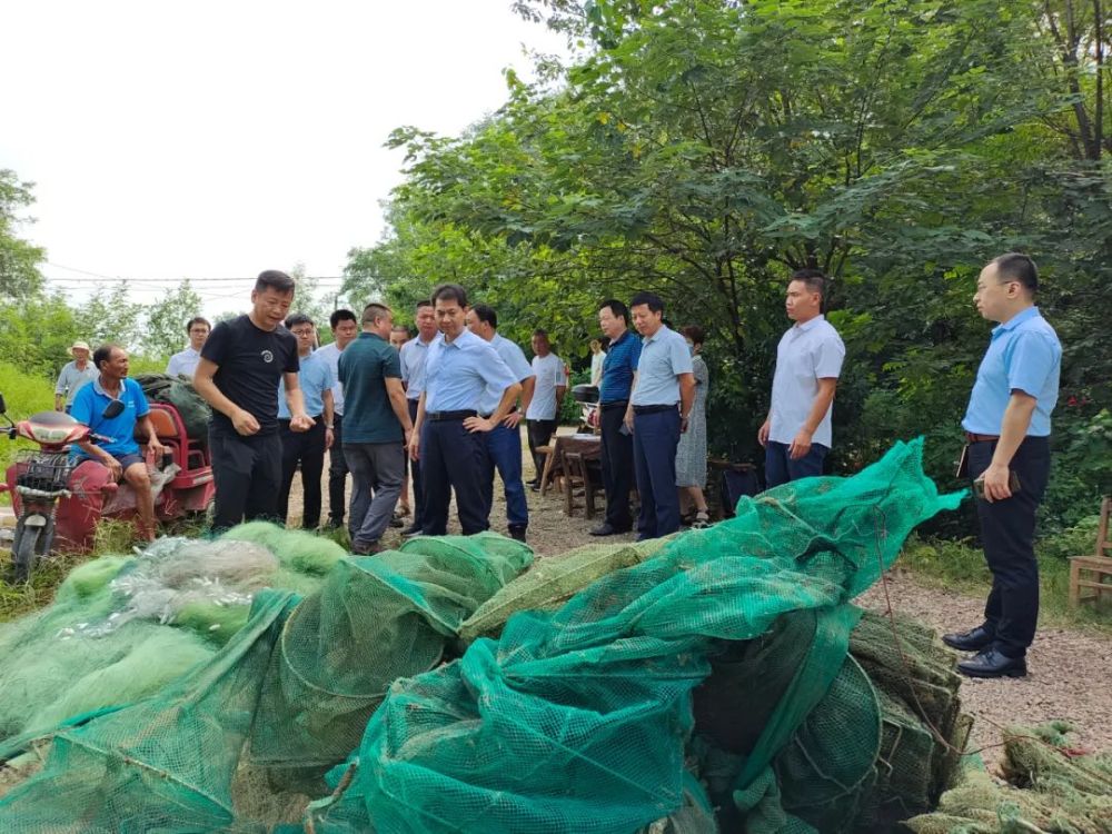 县长杨秀颀到雨坛镇督导禁捕退捕工作