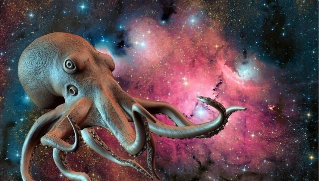 科学家称章鱼是外星人各种证据表明怀疑或许是对的