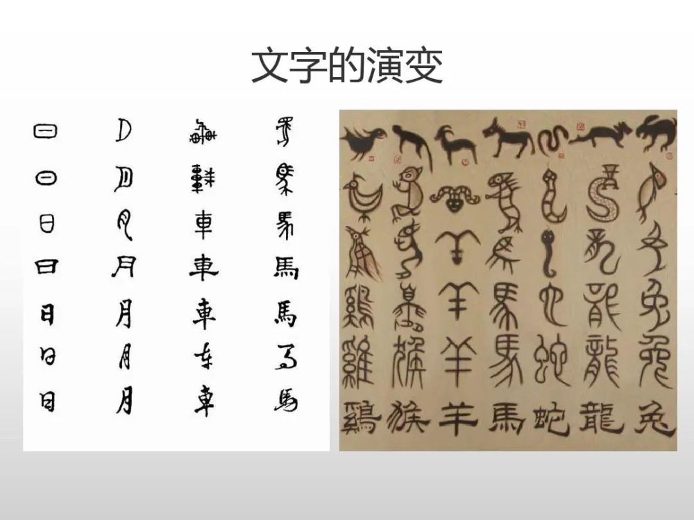 星悦读汉字作为世界上最古老的文字,你真的了解它吗?