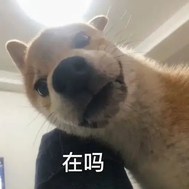 沙雕表情包|朋友们早上好,不好也没有关系