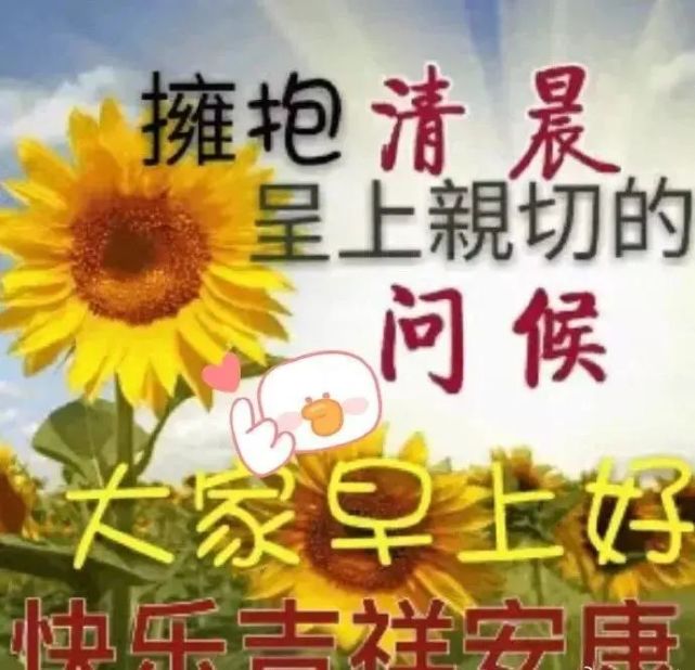 早上好朋友,最新早上好祝福温馨语句,早晨很美的早安