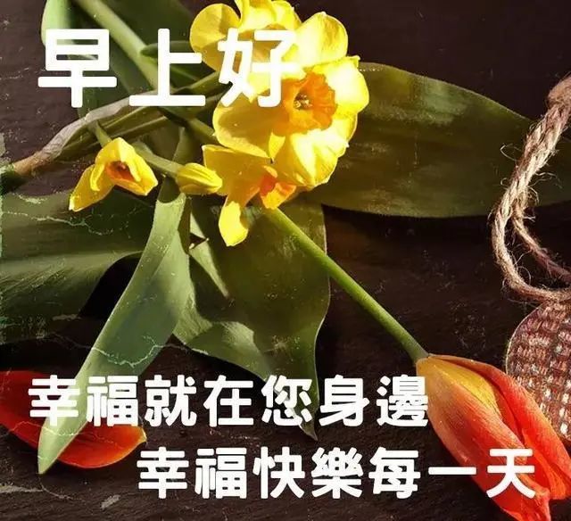 早上好朋友,早上好最美表情祝福图片,最新早上好祝福