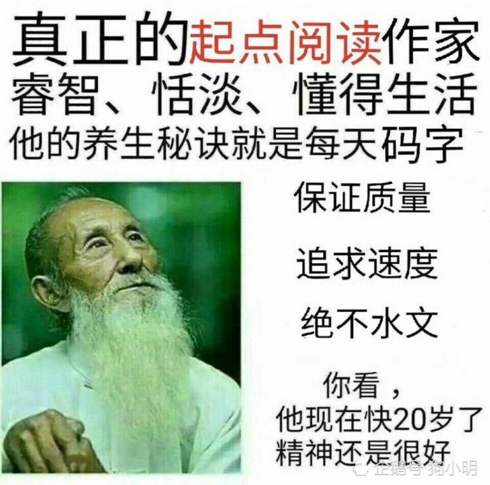 网文作者专用表情包