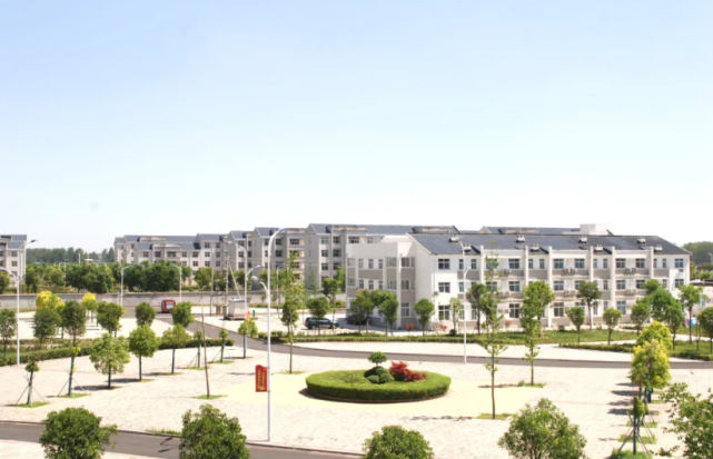 许昌市建安区陈曹乡:乡村振兴按下快进键