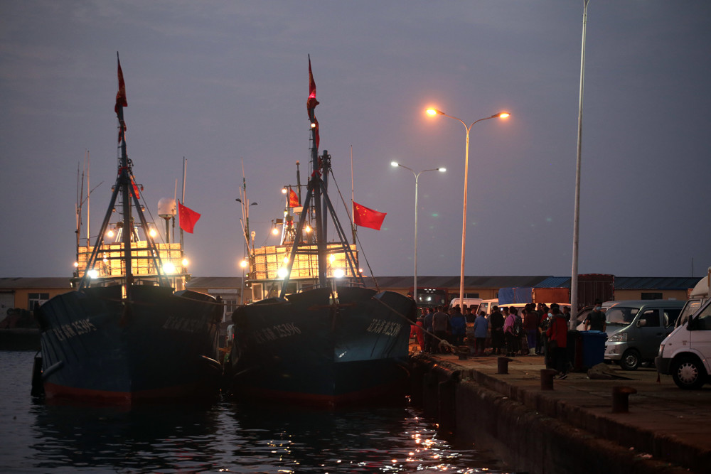 大连龙王塘渔港繁忙景象渔船满仓归来