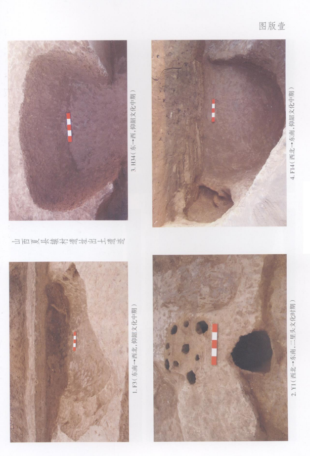 山西夏县辕村遗址发掘简报