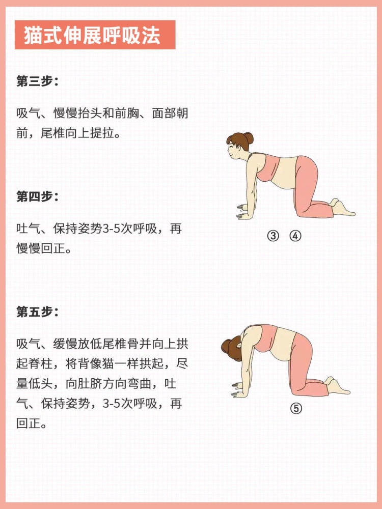3、瑜伽式、駱駝式、獨腳鴿式、貓式的注意事項有哪些?
