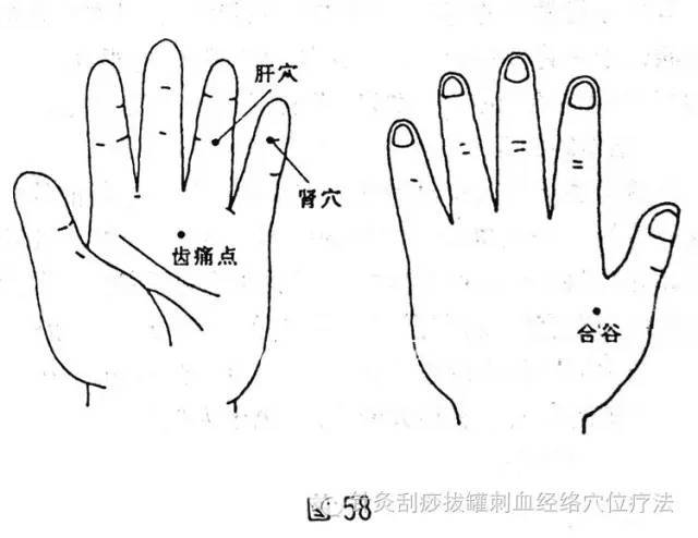 手上有个肾穴,牙疼时点按立即止痛