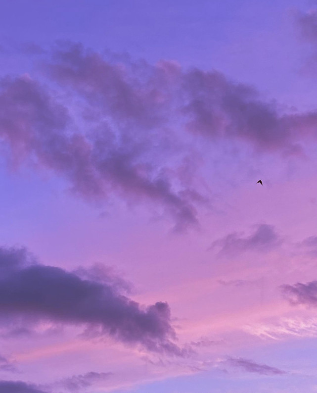 背景图|夕阳