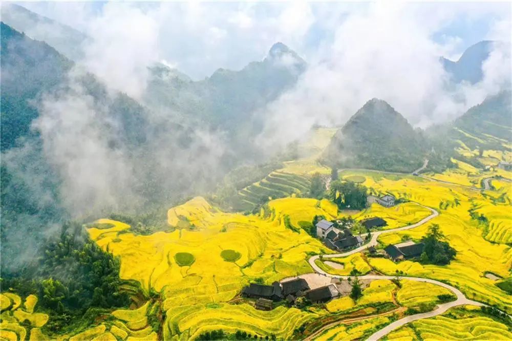 "云上梯田"美丽蝶变!