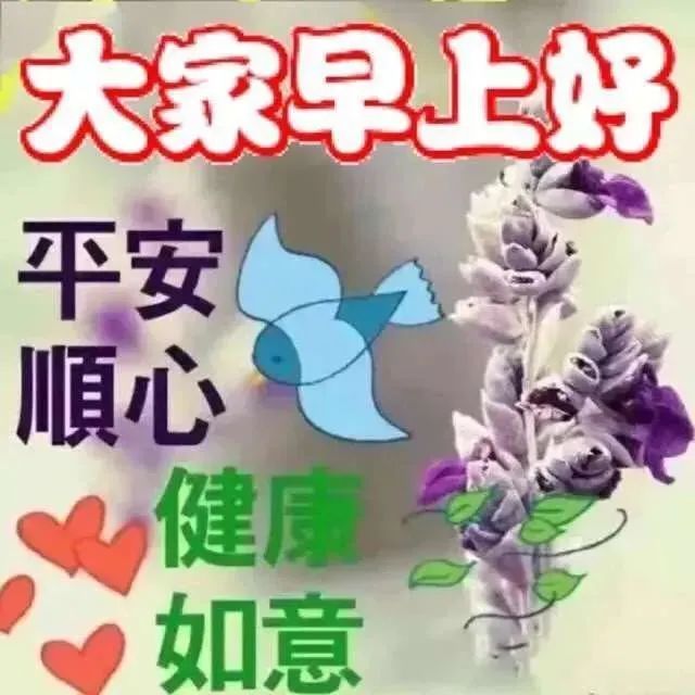 早上好朋友,微信早安问候语配图片大全 早安祝福的句子